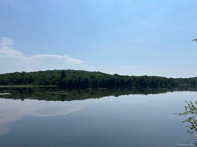 Lot 68 Shore Road, Liberty, NY, ,Land,For Rent,Shore,0,919099 Lot 68 Shore Road, Liberty, NY, ,Land,For Rent,Shore,0,919099