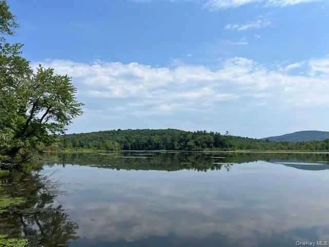 Lot 68 Shore Road, Liberty, NY, ,Land,For Rent,Shore,0,919099 Lot 68 Shore Road, Liberty, NY, ,Land,For Rent,Shore,0,919099