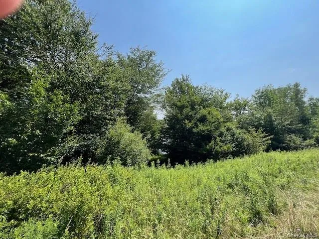 Lot 68 Shore Road, Liberty, NY, ,Land,For Rent,Shore,0,919099 Lot 68 Shore Road, Liberty, NY, ,Land,For Rent,Shore,0,919099