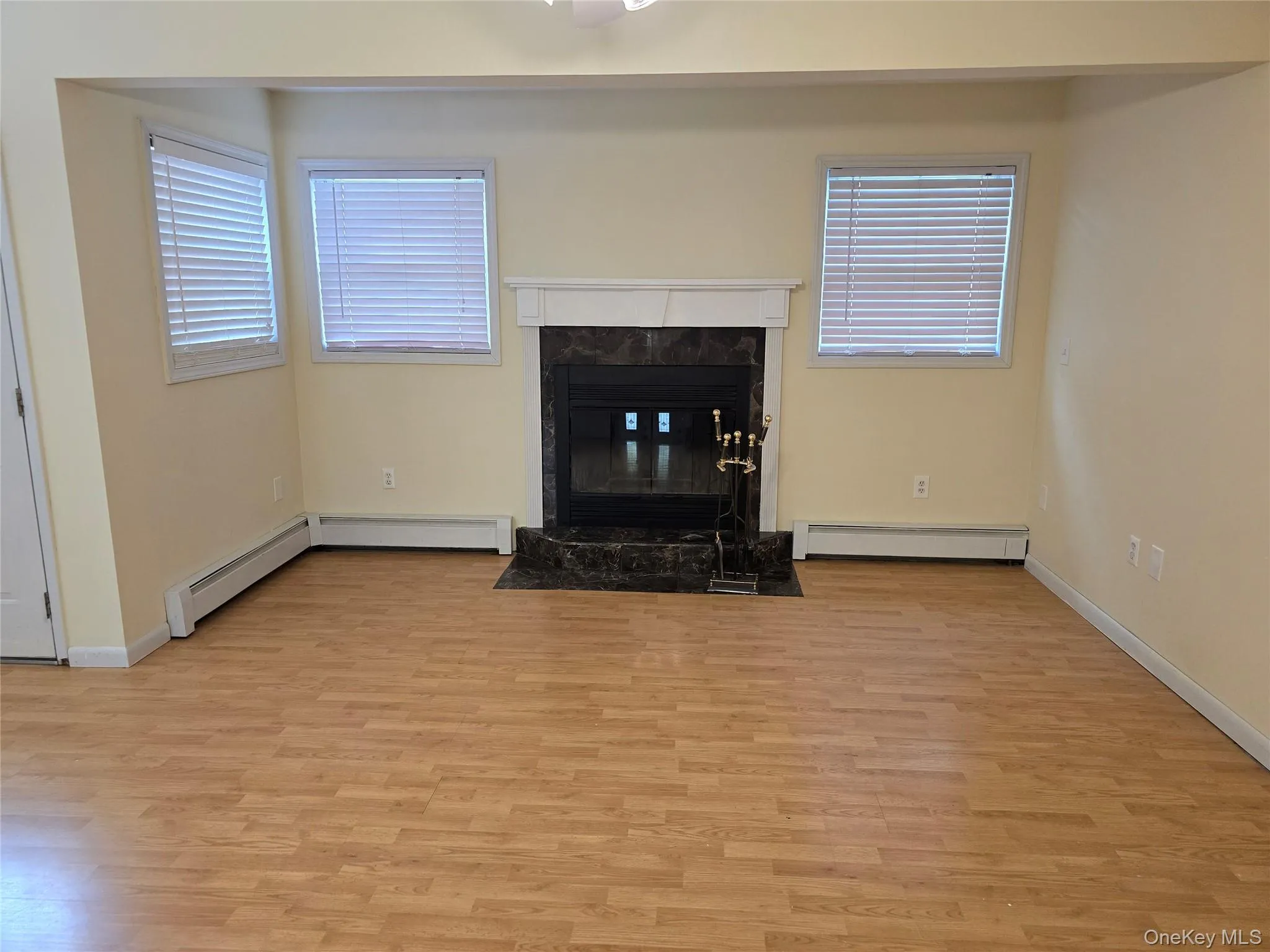 Unfurnished living room featuring a premium fireplace, light wood finished floors, and a baseboard heating unit Unfurnished living room featuring a premium fireplace, light wood finished floors, and a baseboard heating unit