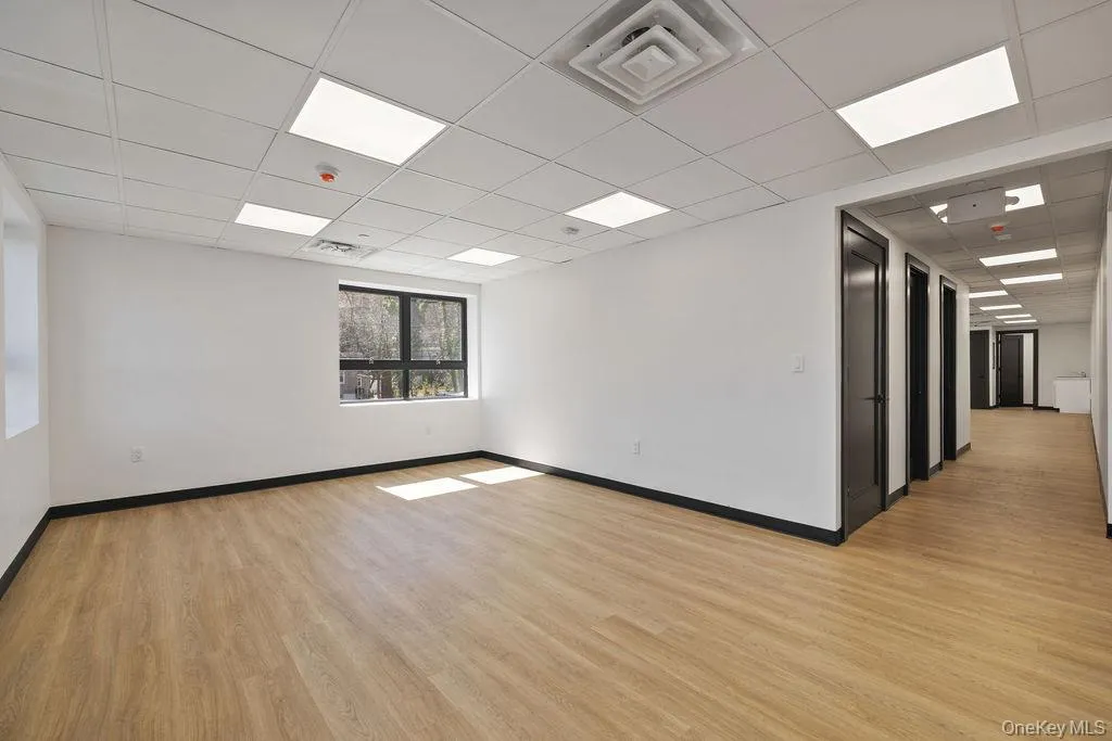 Unfurnished room featuring a drop ceiling and light wood finished floors Unfurnished room featuring a drop ceiling and light wood finished floors