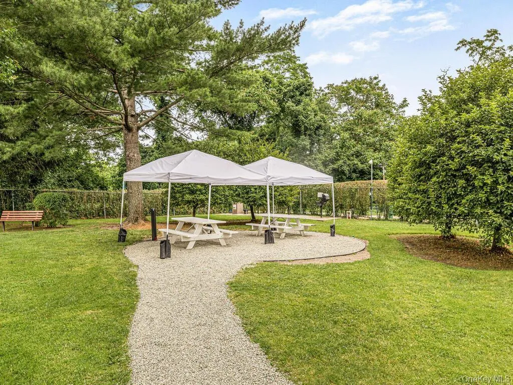 Surrounding community with a patio and view of scattered trees Surrounding community with a patio and view of scattered trees