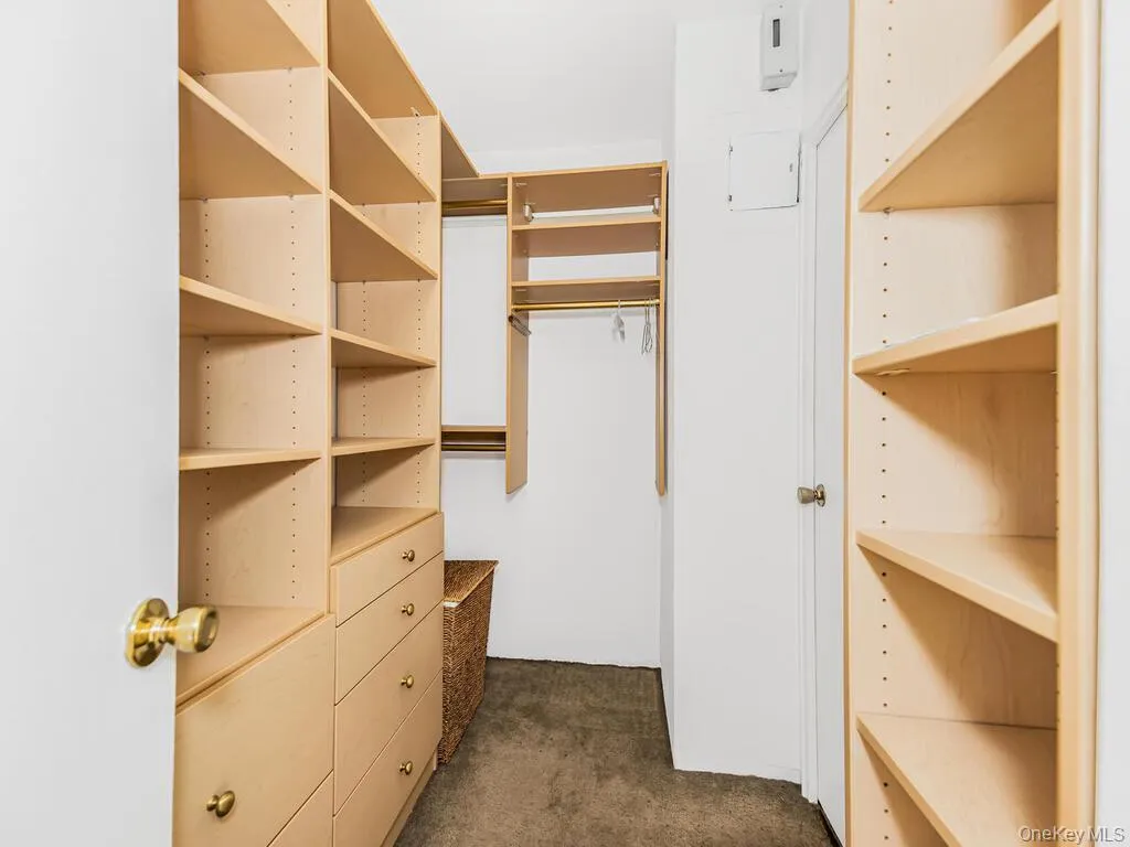 Walk in closet with dark carpet Walk in closet with dark carpet