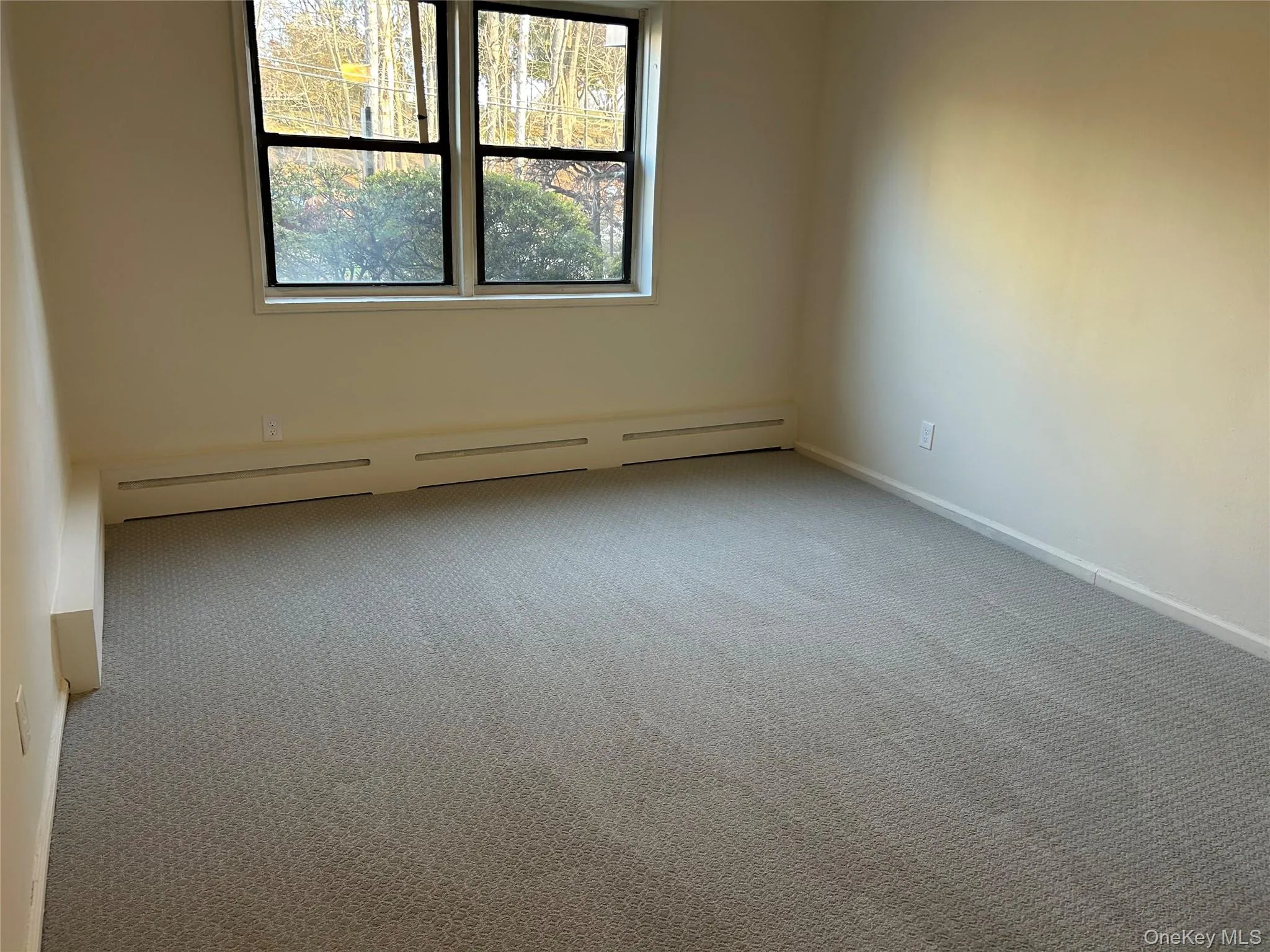 Carpeted empty room featuring a baseboard radiator and baseboards Carpeted empty room featuring a baseboard radiator and baseboards