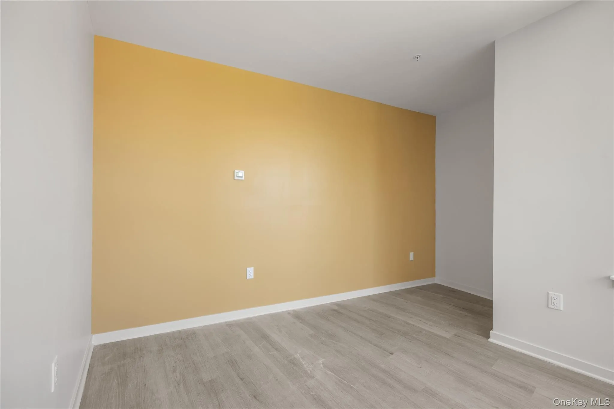 Unfurnished room featuring light wood-style flooring and baseboards Unfurnished room featuring light wood-style flooring and baseboards