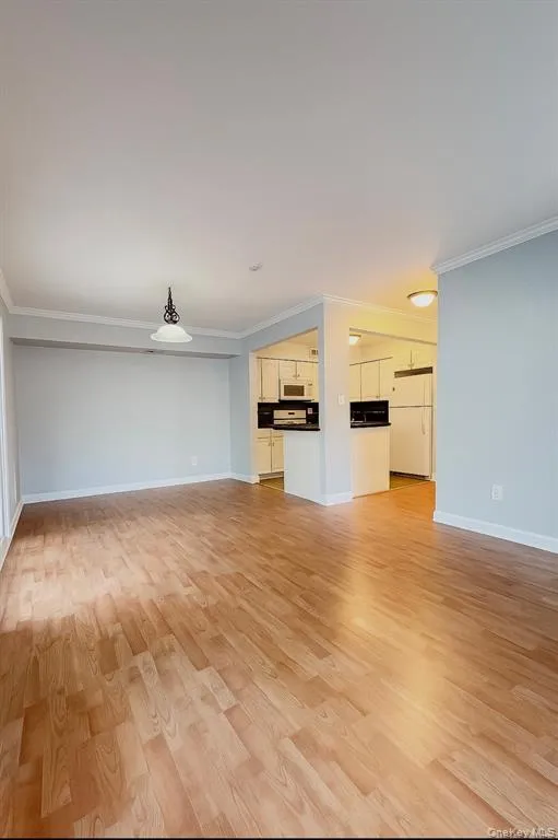 Unfurnished living room featuring ornamental molding and light wood-type flooring Unfurnished living room featuring ornamental molding and light wood-type flooring