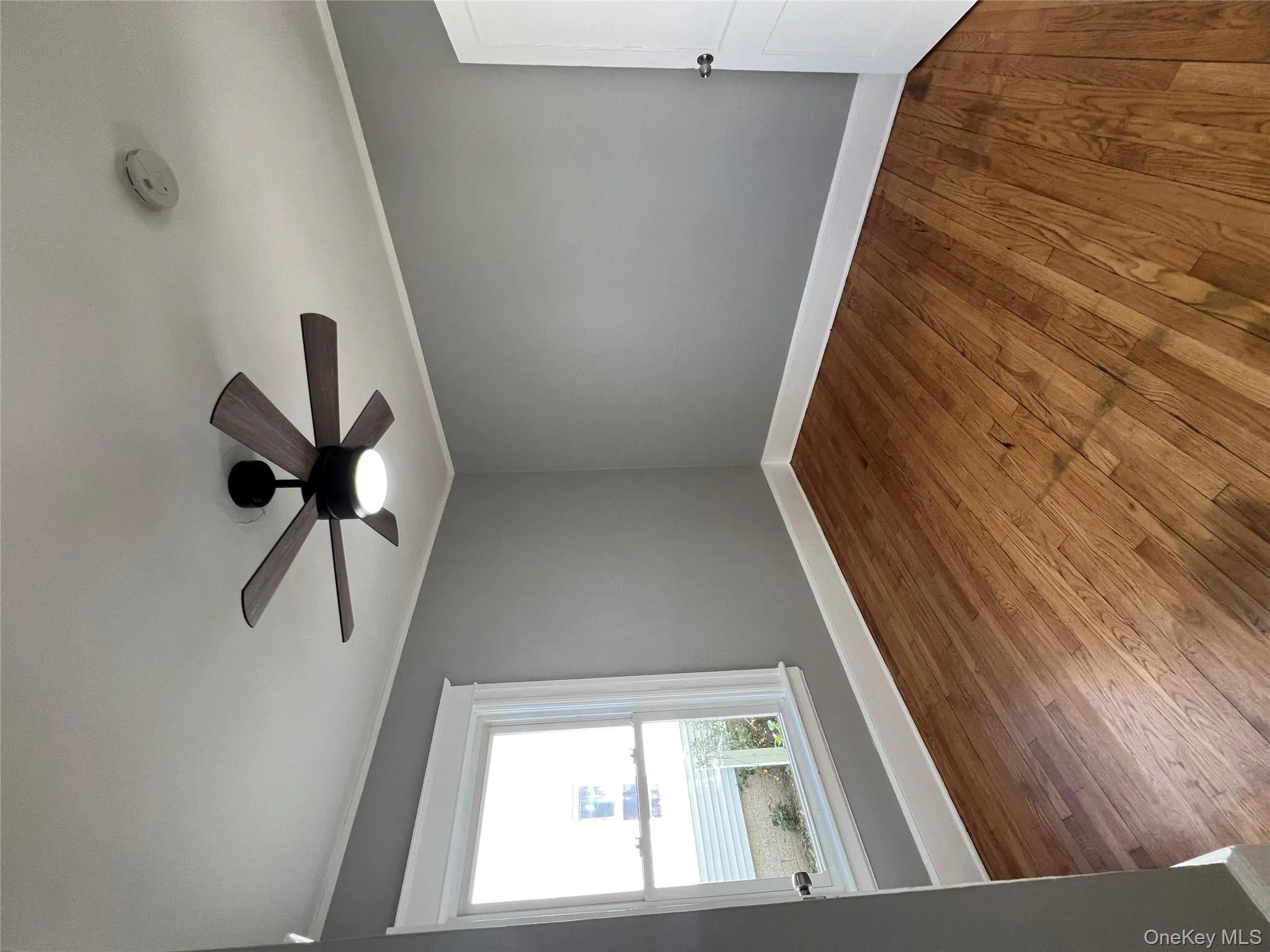 46 Manitou Avenue, Poughkeepsie, NY, 3 Bedrooms Bedrooms, 5 Rooms Rooms,1 BathroomBathrooms,Residential Lease,Idx,Manitou,0,919684 46 Manitou Avenue, Poughkeepsie, NY, 3 Bedrooms Bedrooms, 5 Rooms Rooms,1 BathroomBathrooms,Residential Lease,Idx,Manitou,0,919684