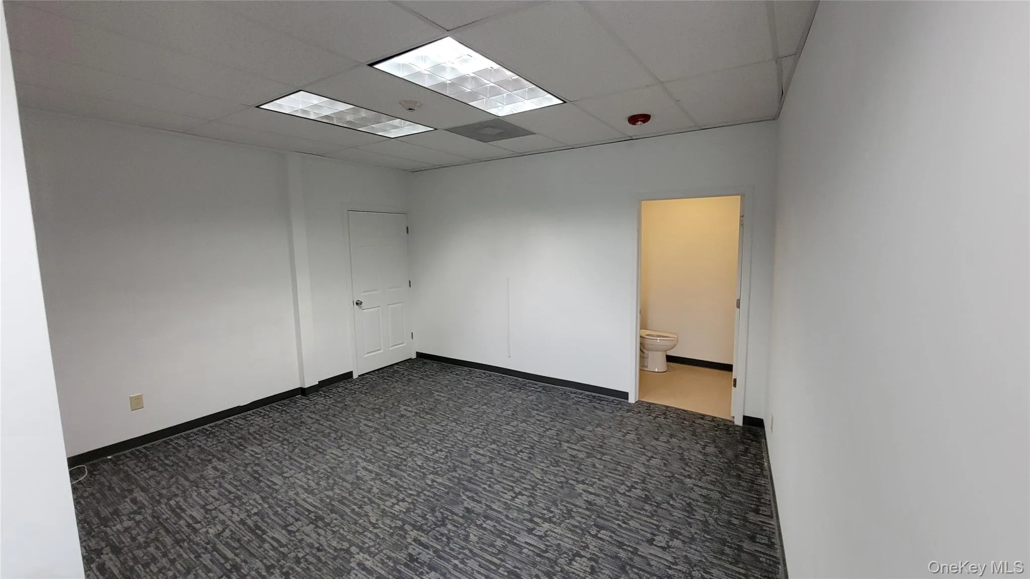 Unfurnished room with dark colored carpet and a paneled ceiling Unfurnished room with dark colored carpet and a paneled ceiling