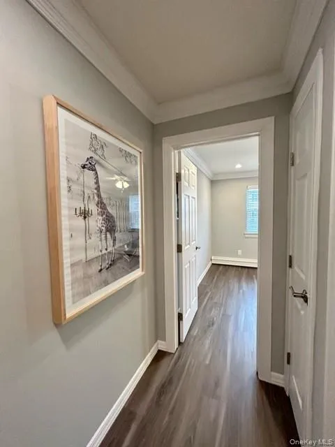 101 Cassa Loop, Brookhaven, NY, 2 Bedrooms Bedrooms, 6 Rooms Rooms,2 BathroomsBathrooms,Residential Lease,Idx,Cassa,0,919912 101 Cassa Loop, Brookhaven, NY, 2 Bedrooms Bedrooms, 6 Rooms Rooms,2 BathroomsBathrooms,Residential Lease,Idx,Cassa,0,919912