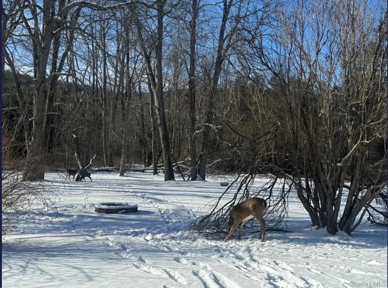 View of yard covered in snow View of yard covered in snow