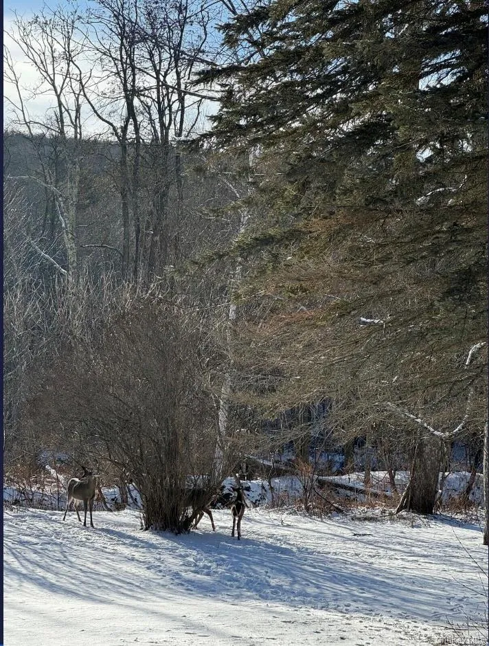 View of home's community View of home's community