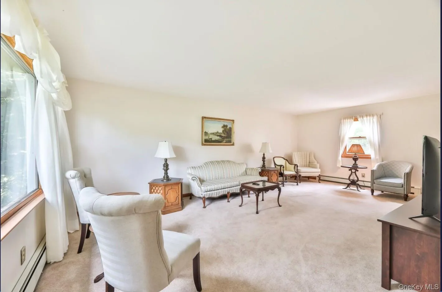 Living room with carpet floors, baseboard heating, and a baseboard radiator Living room with carpet floors, baseboard heating, and a baseboard radiator