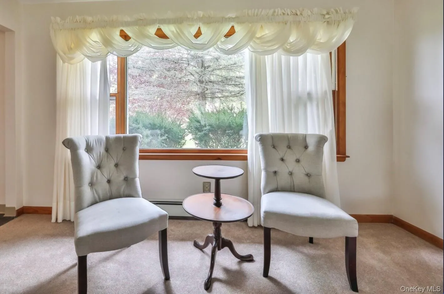 Sitting room featuring carpet floors and a baseboard radiator Sitting room featuring carpet floors and a baseboard radiator