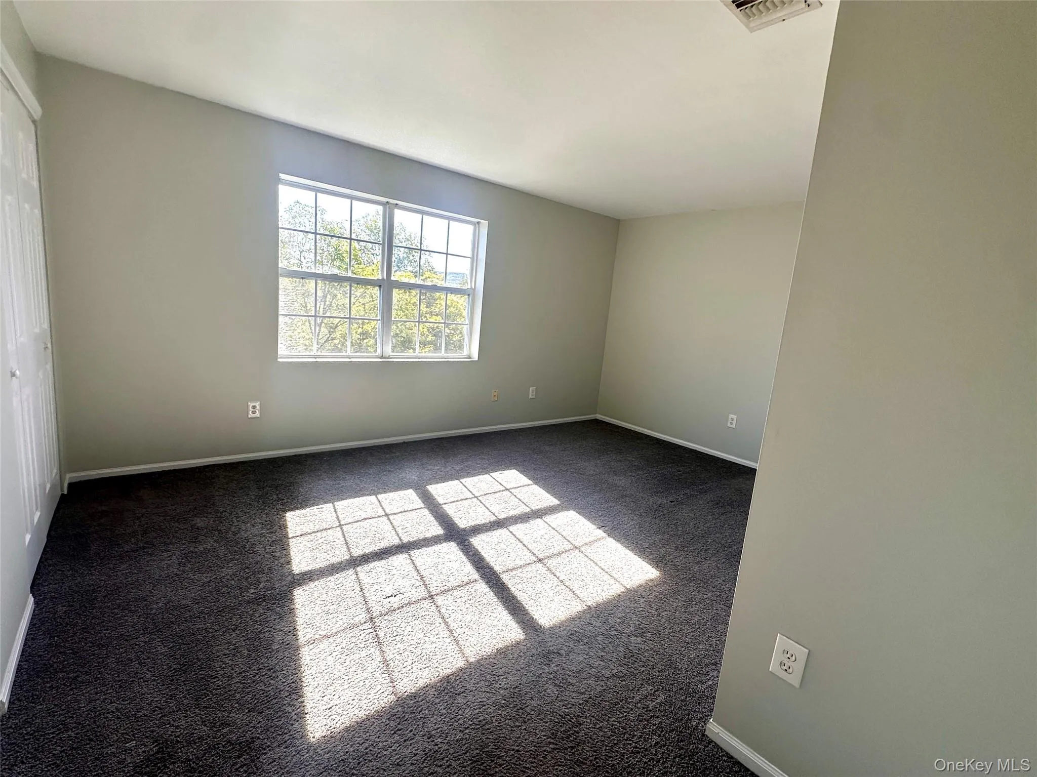 Empty room with carpet and baseboards Empty room with carpet and baseboards