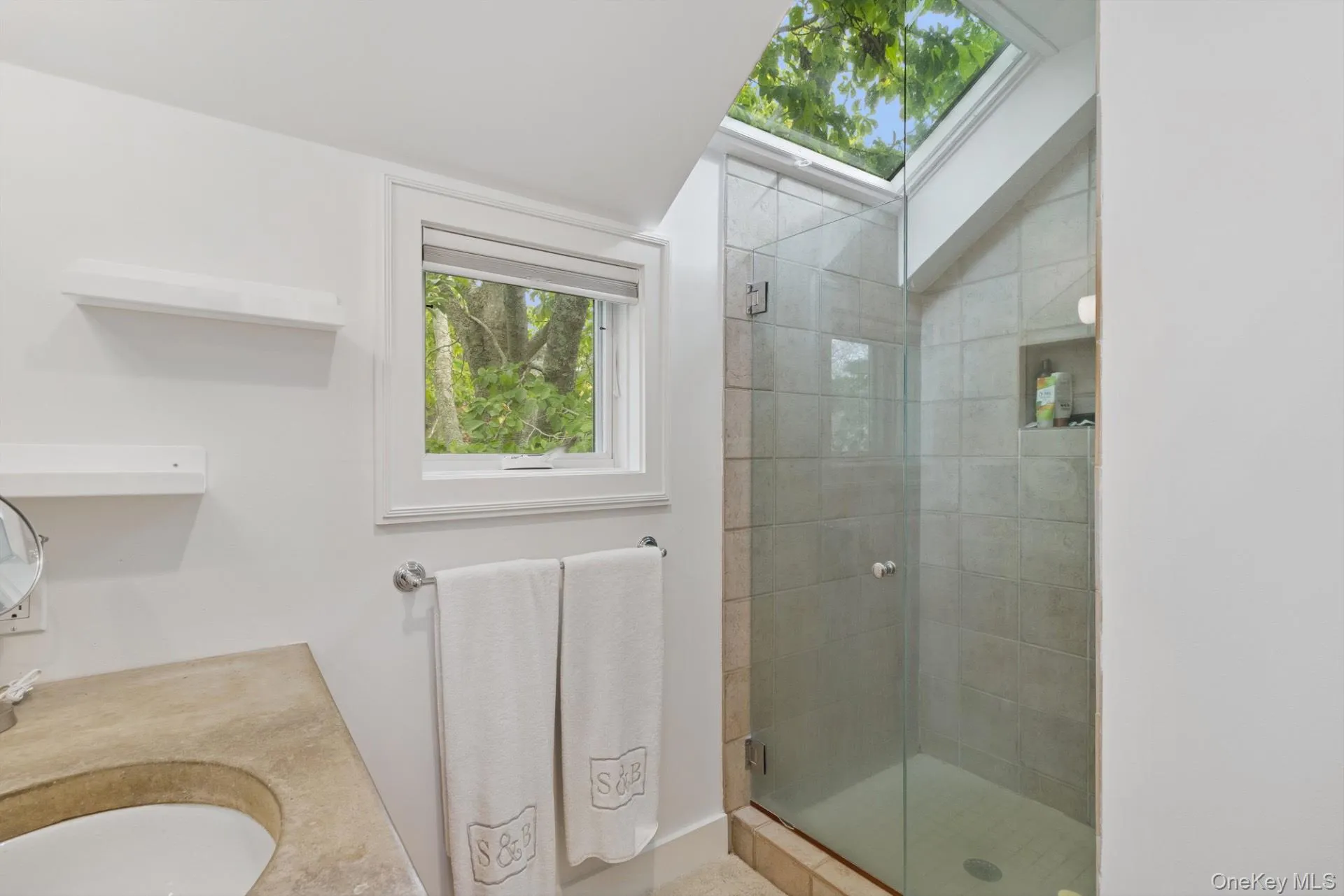 Bathroom featuring a stall shower, a skylight, and vanity Bathroom featuring a stall shower, a skylight, and vanity