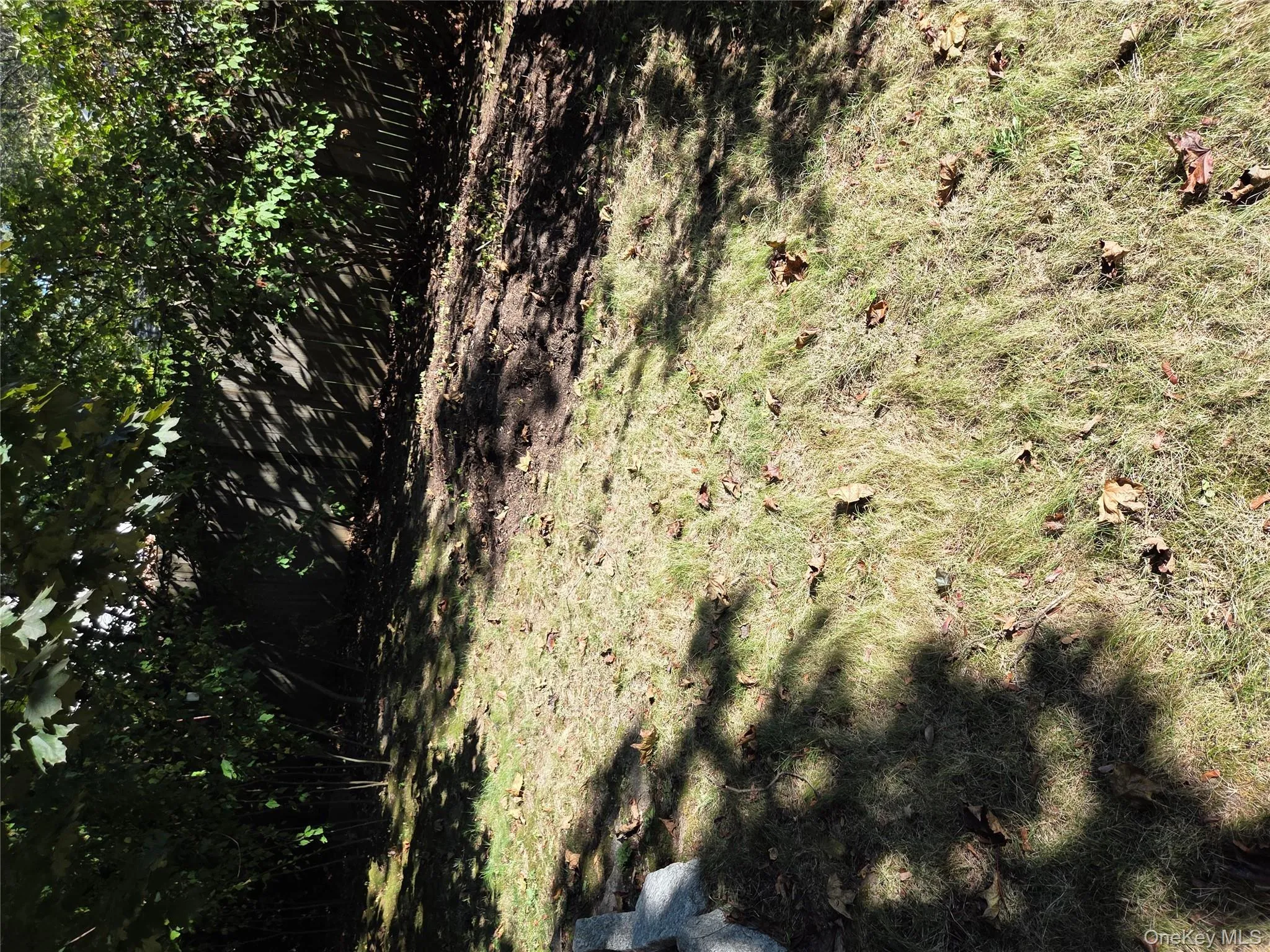 View of grassy yard View of grassy yard