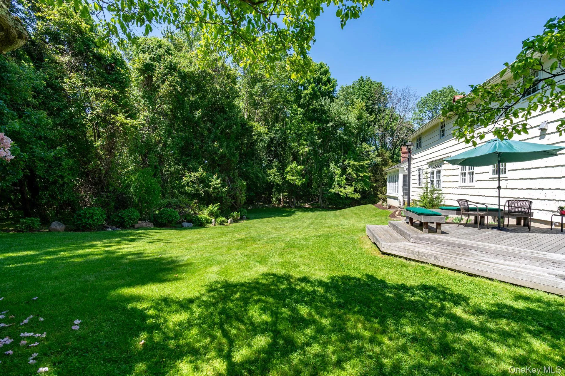 View of green lawn with a deck and view of wooded area View of green lawn with a deck and view of wooded area