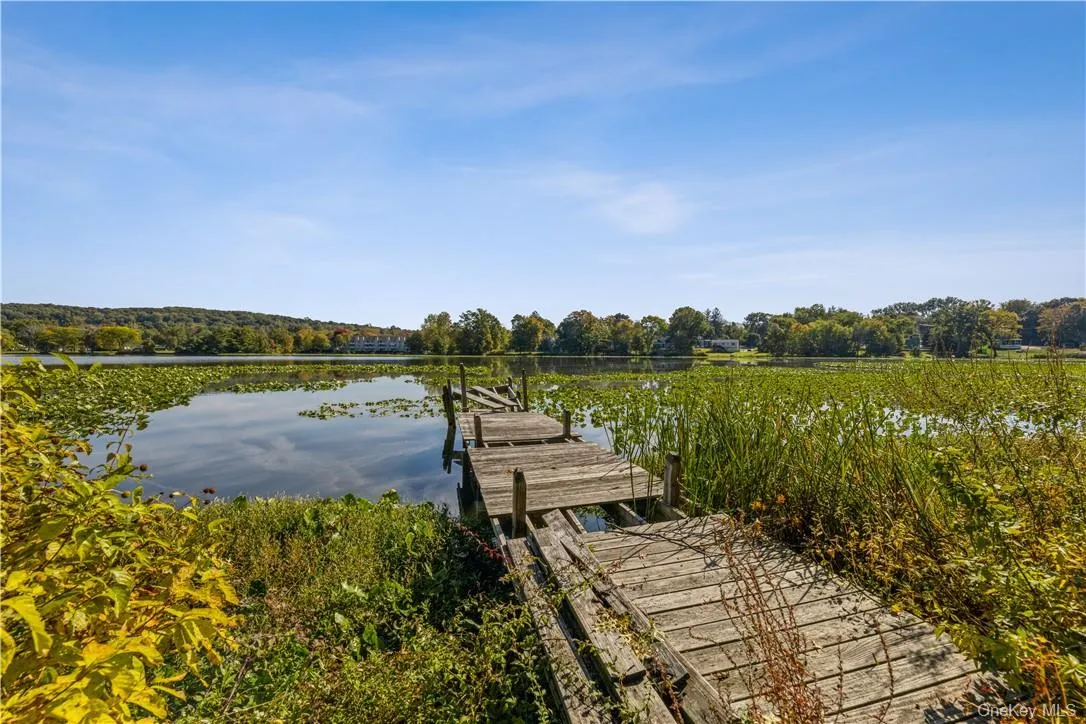 48 Lakewood Drive, Clarkstown, NY, 4 Bedrooms Bedrooms, 11 Rooms Rooms,3 BathroomsBathrooms,Residential Lease,Idx,Lakewood,0,920064 48 Lakewood Drive, Clarkstown, NY, 4 Bedrooms Bedrooms, 11 Rooms Rooms,3 BathroomsBathrooms,Residential Lease,Idx,Lakewood,0,920064