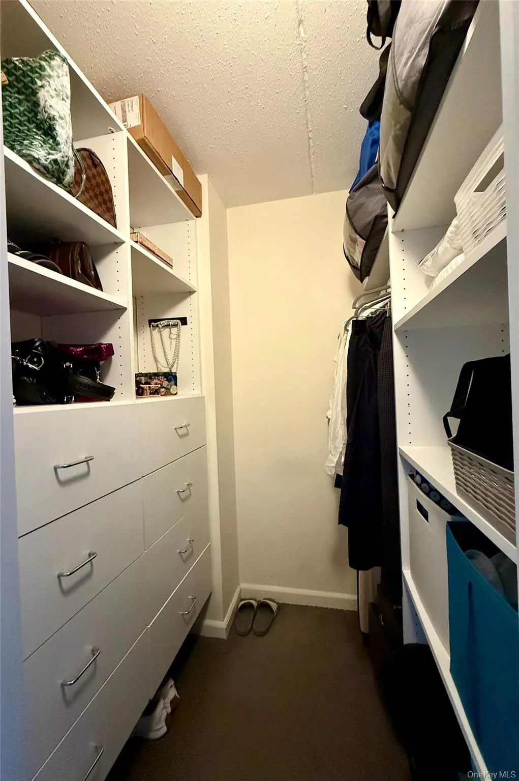 View of walk in closet View of walk in closet
