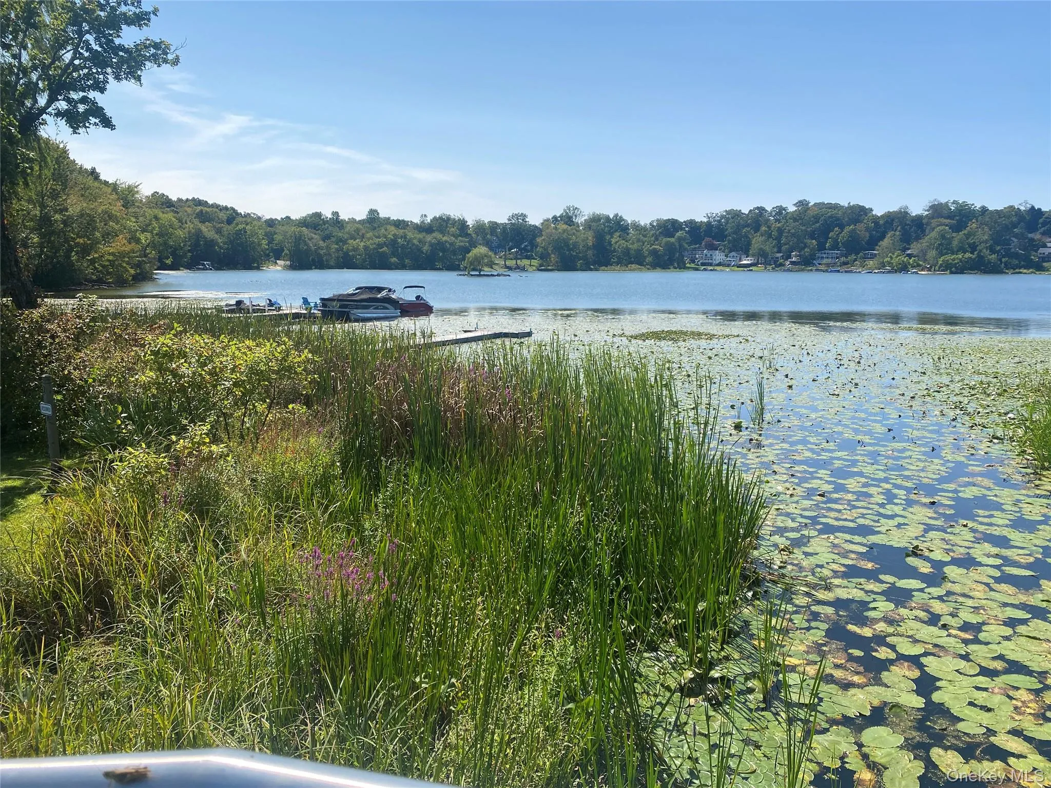 Water view of Peach Lake Water view of Peach Lake