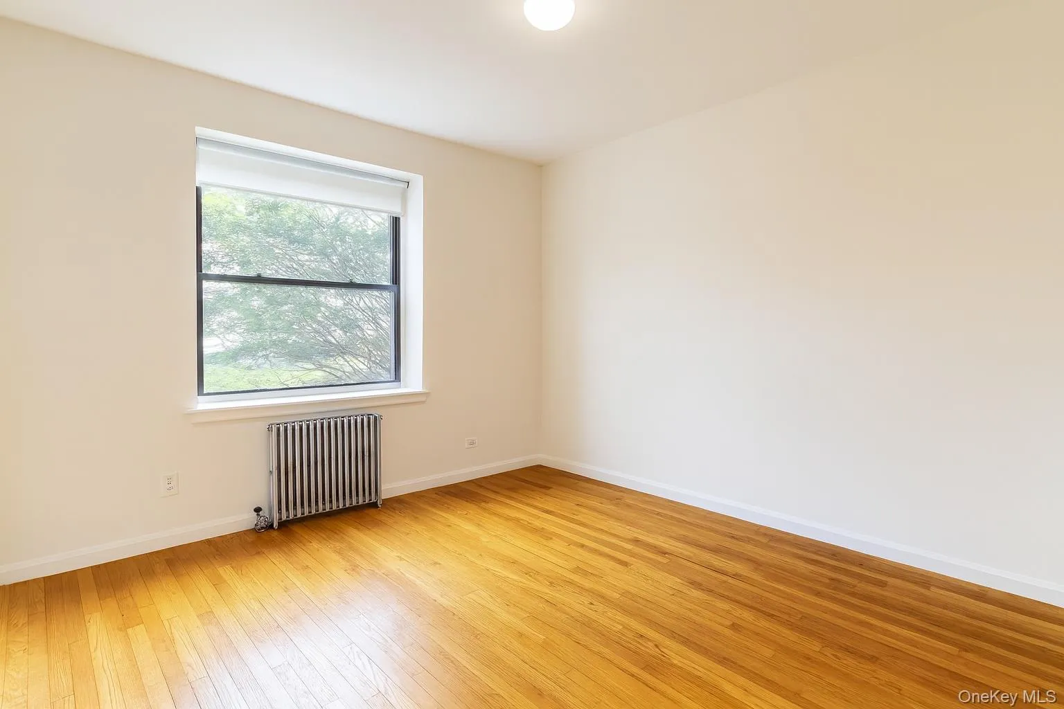 2141 78th Street, New York, NY, 2 Bedrooms Bedrooms, 5 Rooms Rooms,1 BathroomBathrooms,Residential Lease,Idx,78th,0,920294 2141 78th Street, New York, NY, 2 Bedrooms Bedrooms, 5 Rooms Rooms,1 BathroomBathrooms,Residential Lease,Idx,78th,0,920294