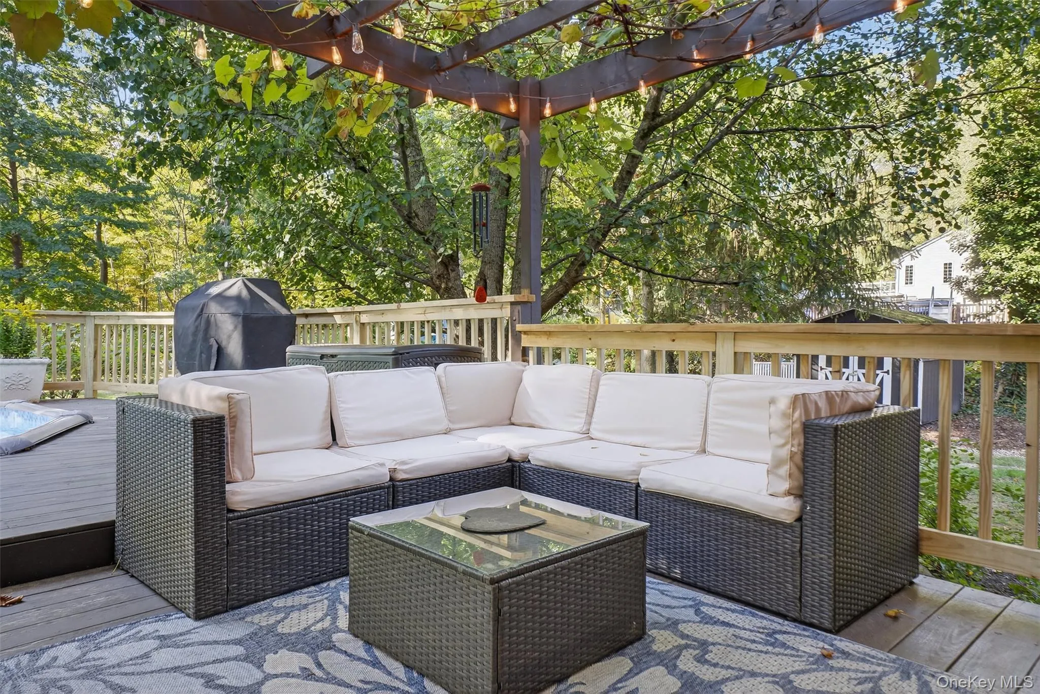 Deck with outdoor lounge area and grilling area Deck with outdoor lounge area and grilling area