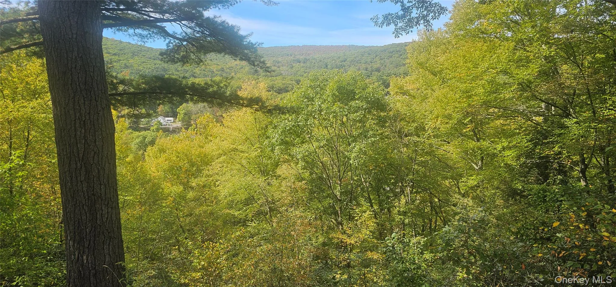 View of mountain backdrop featuring a forest View of mountain backdrop featuring a forest