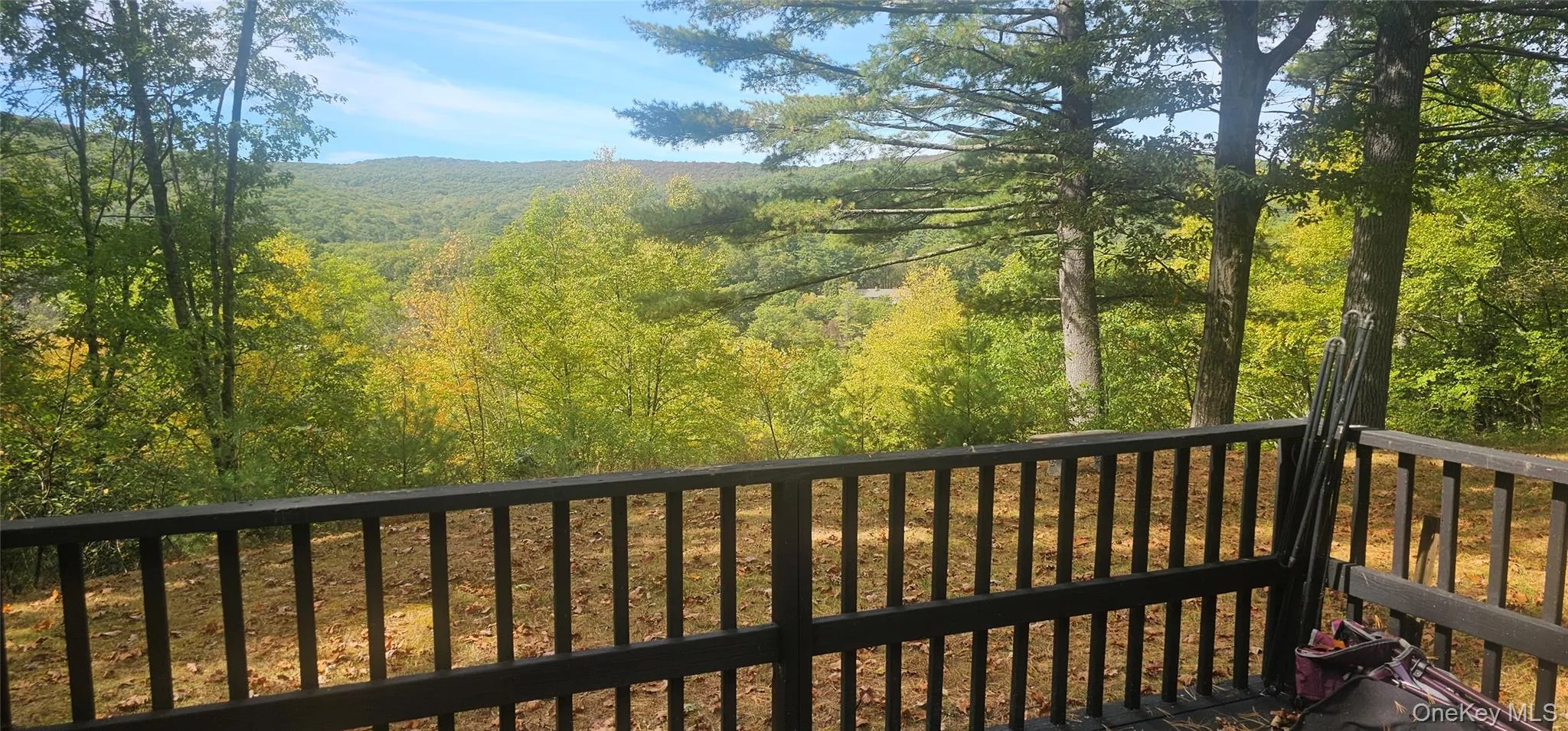 Deck with a wooded view Deck with a wooded view
