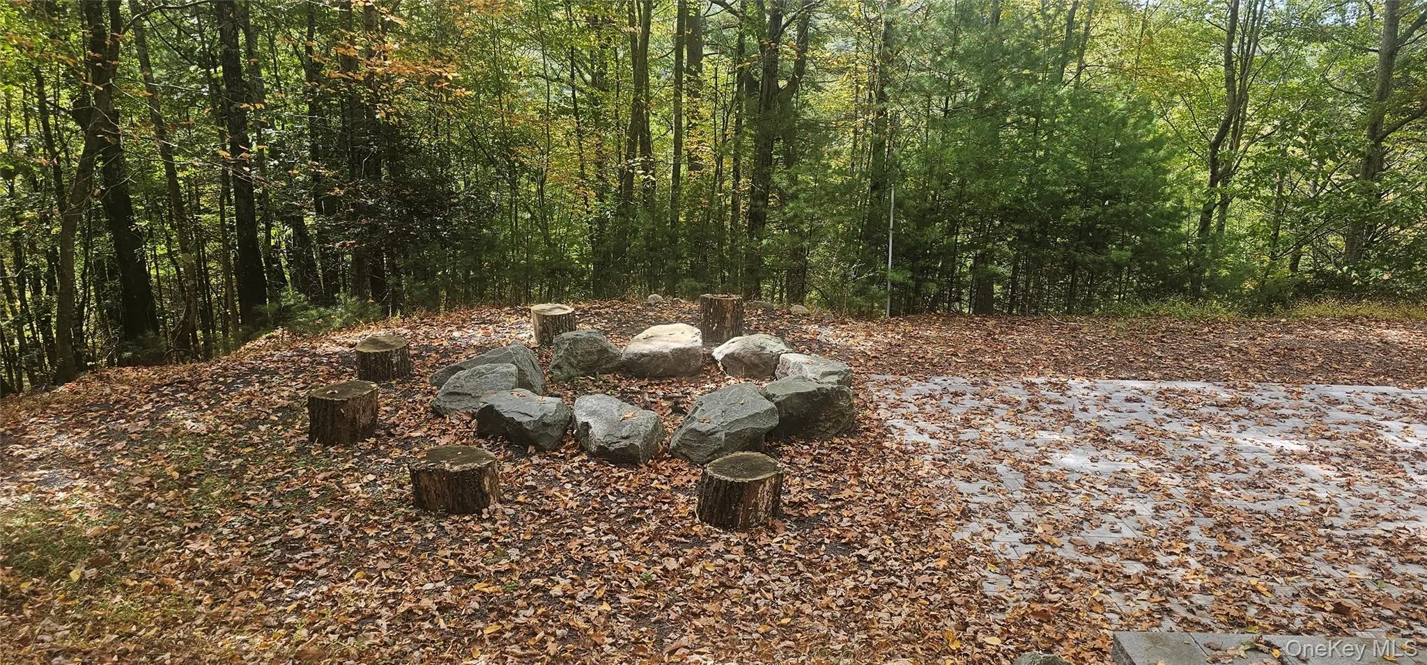 Fire pit Fire pit