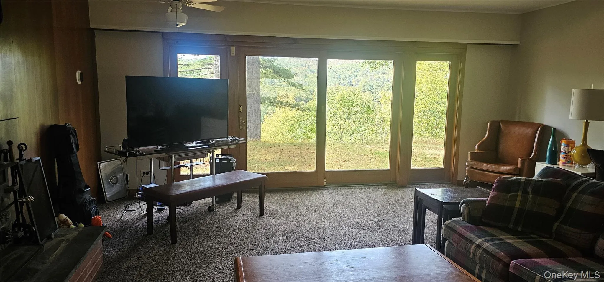 Carpeted living room featuring ceiling fan Carpeted living room featuring ceiling fan