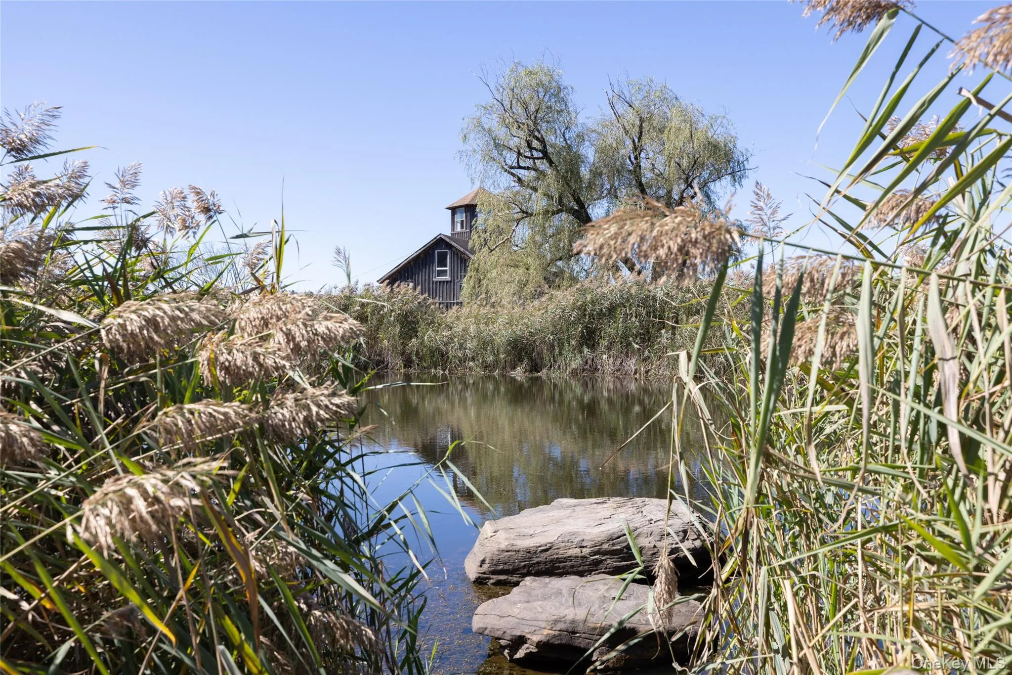View of swimming pond and artist barn View of swimming pond and artist barn