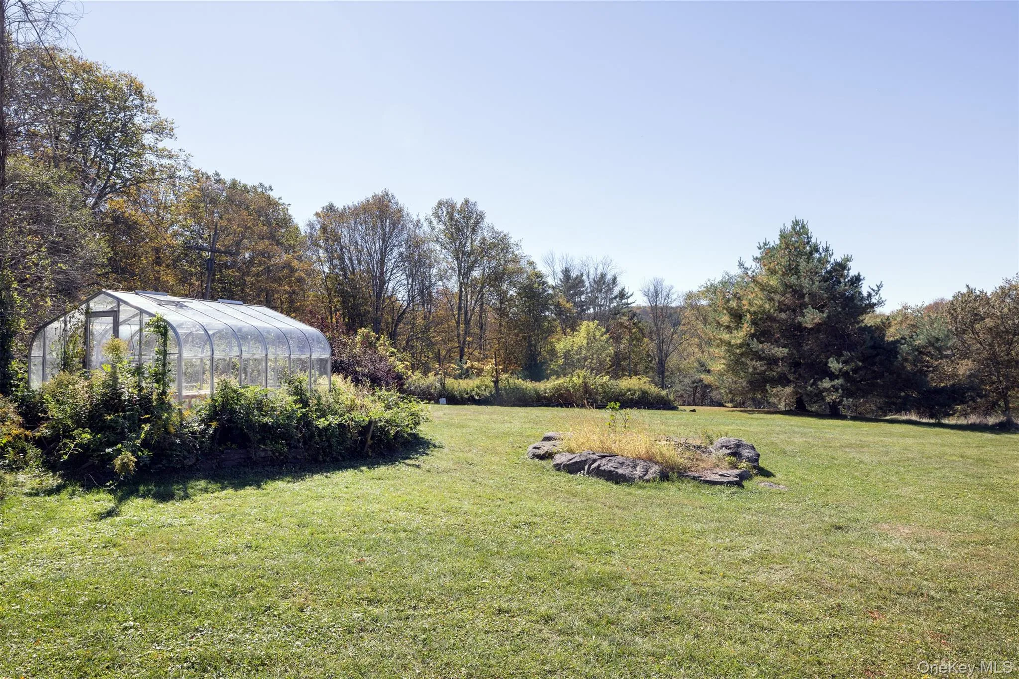 View of grassy yard & greenhouse View of grassy yard & greenhouse