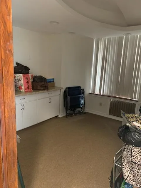 Living area featuring light colored carpet and radiator heating unit Living area featuring light colored carpet and radiator heating unit