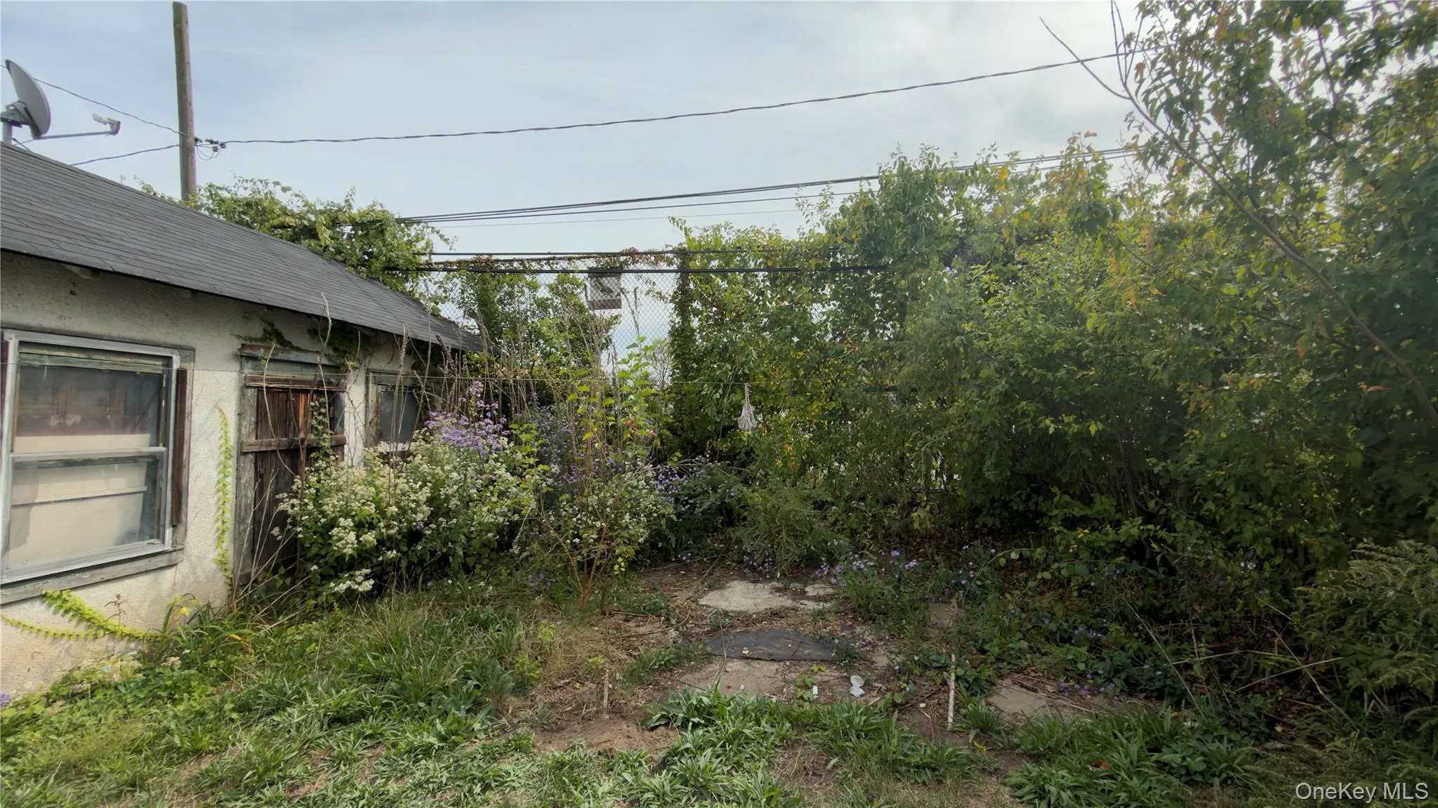 View of yard View of yard