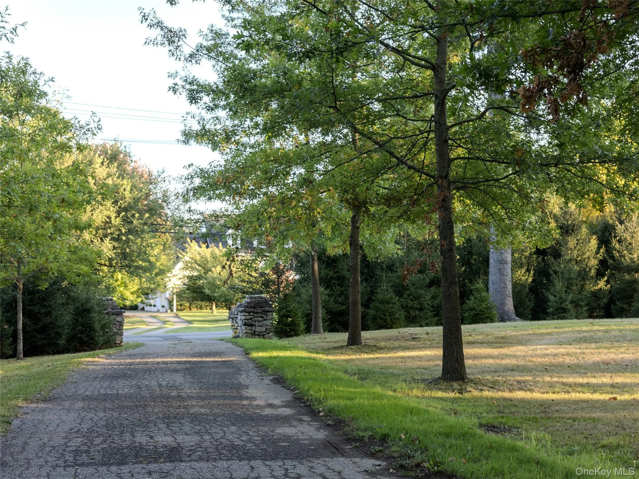 View of asphalt driveway View of asphalt driveway