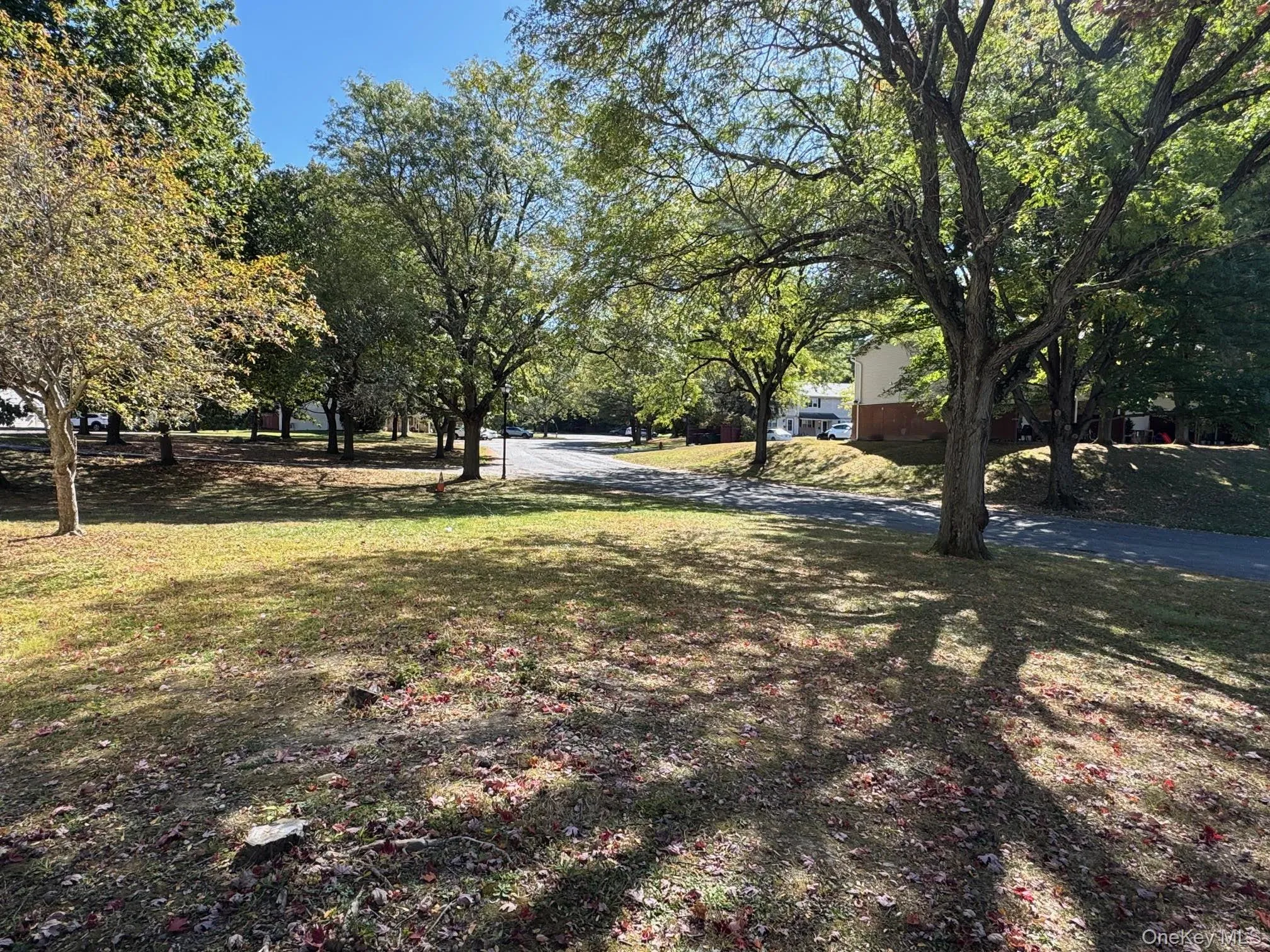 View of grassy yard View of grassy yard