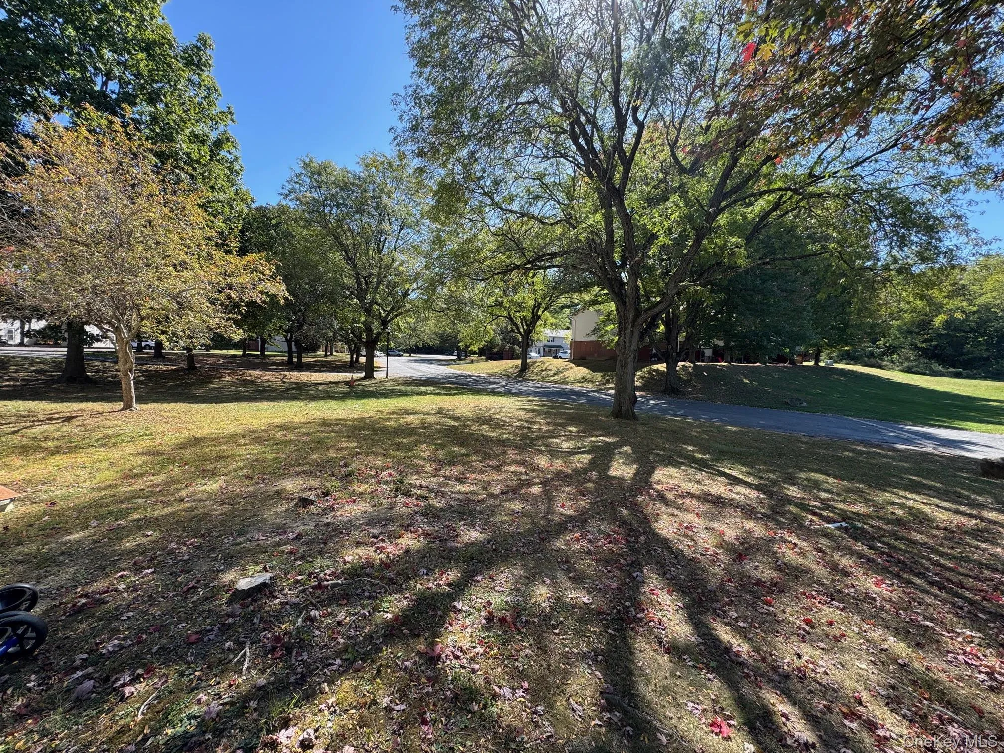 View of green lawn View of green lawn
