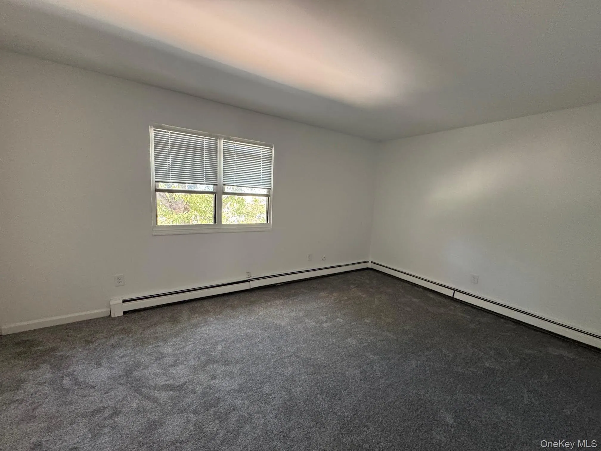 Unfurnished room featuring a baseboard radiator and dark colored carpet Unfurnished room featuring a baseboard radiator and dark colored carpet
