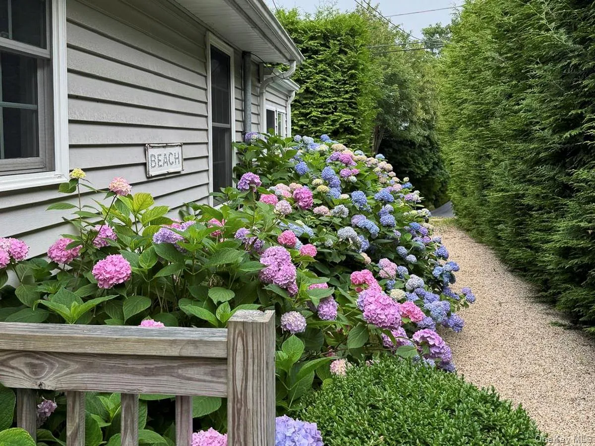 77 Hillcrest Avenue, Southampton, NY, 3 Bedrooms Bedrooms, 9 Rooms Rooms,2 BathroomsBathrooms,Residential Lease,Idx,Hillcrest,0,920723 77 Hillcrest Avenue, Southampton, NY, 3 Bedrooms Bedrooms, 9 Rooms Rooms,2 BathroomsBathrooms,Residential Lease,Idx,Hillcrest,0,920723