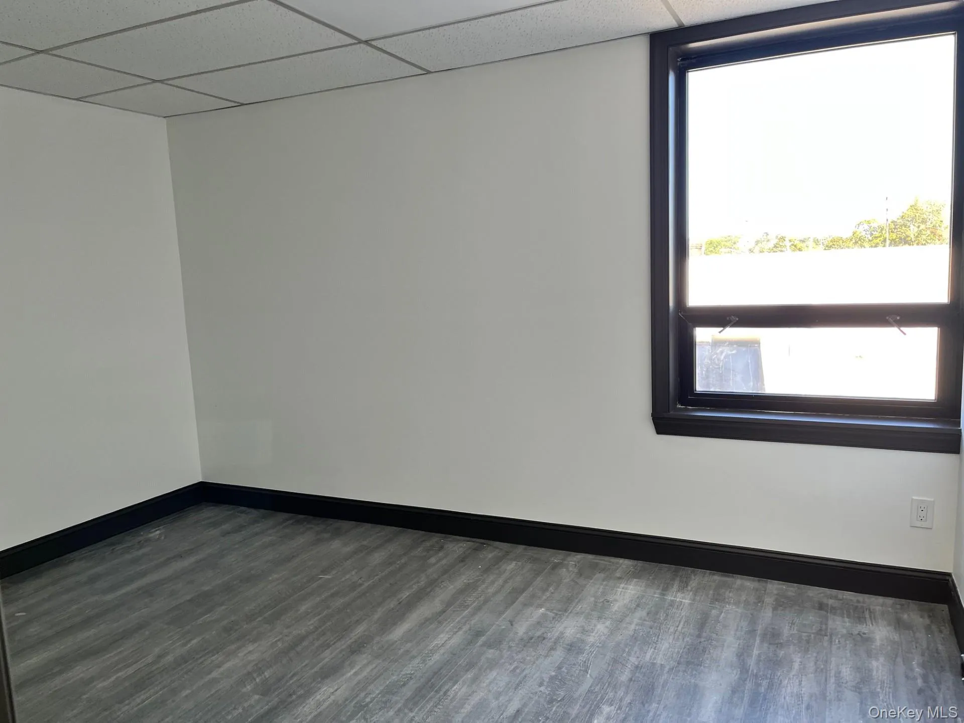 Unfurnished room with dark wood-style floors and a paneled ceiling Unfurnished room with dark wood-style floors and a paneled ceiling