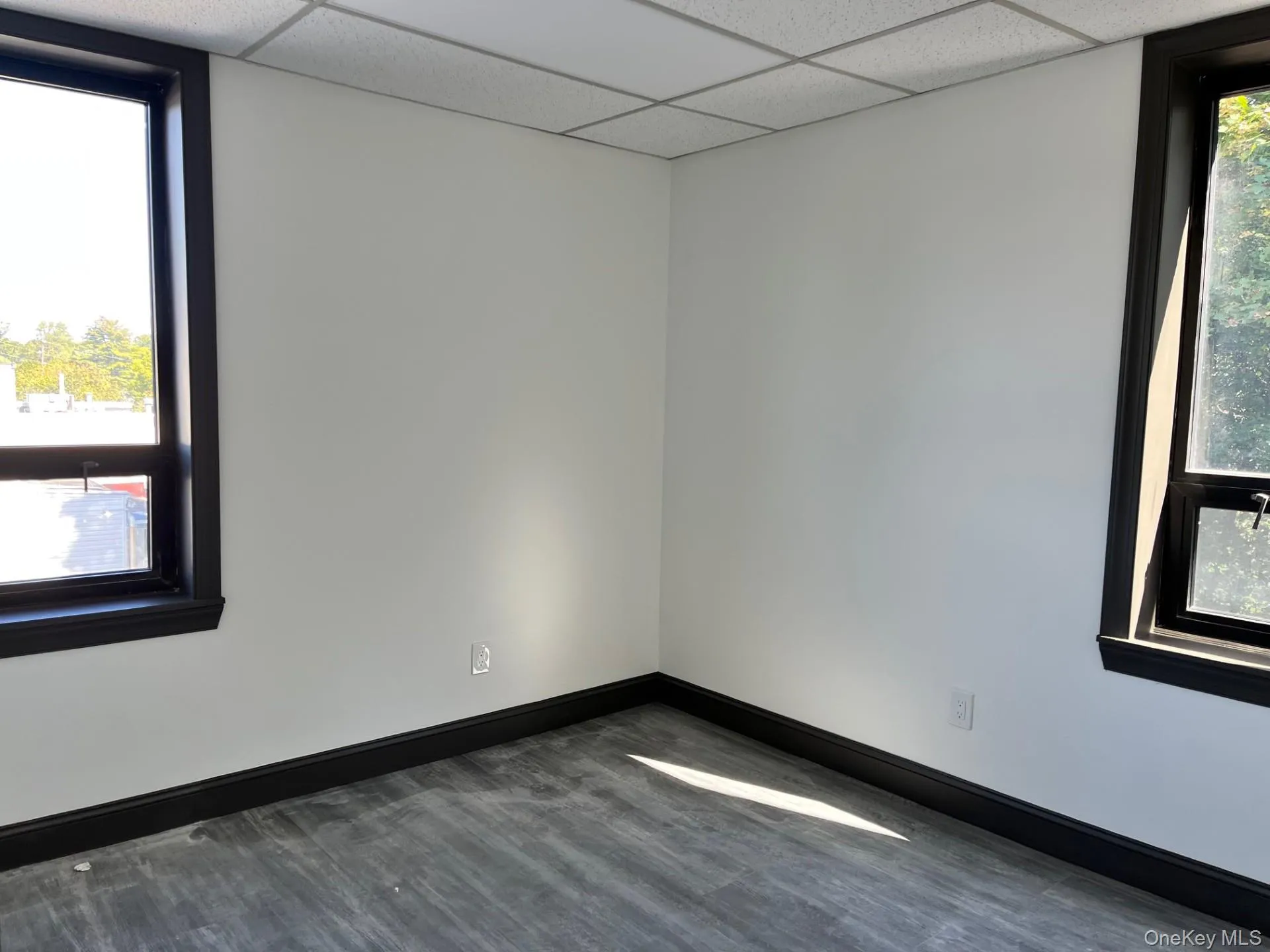 Unfurnished room with dark wood-type flooring and a drop ceiling Unfurnished room with dark wood-type flooring and a drop ceiling