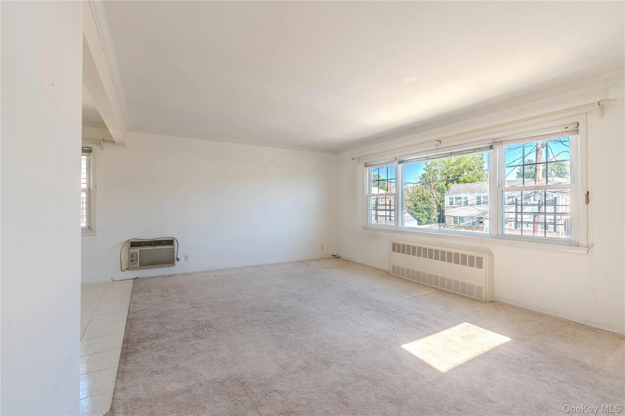 Unfurnished living room featuring healthy amount of natural light, radiator, ornamental molding, and light colored carpet Unfurnished living room featuring healthy amount of natural light, radiator, ornamental molding, and light colored carpet