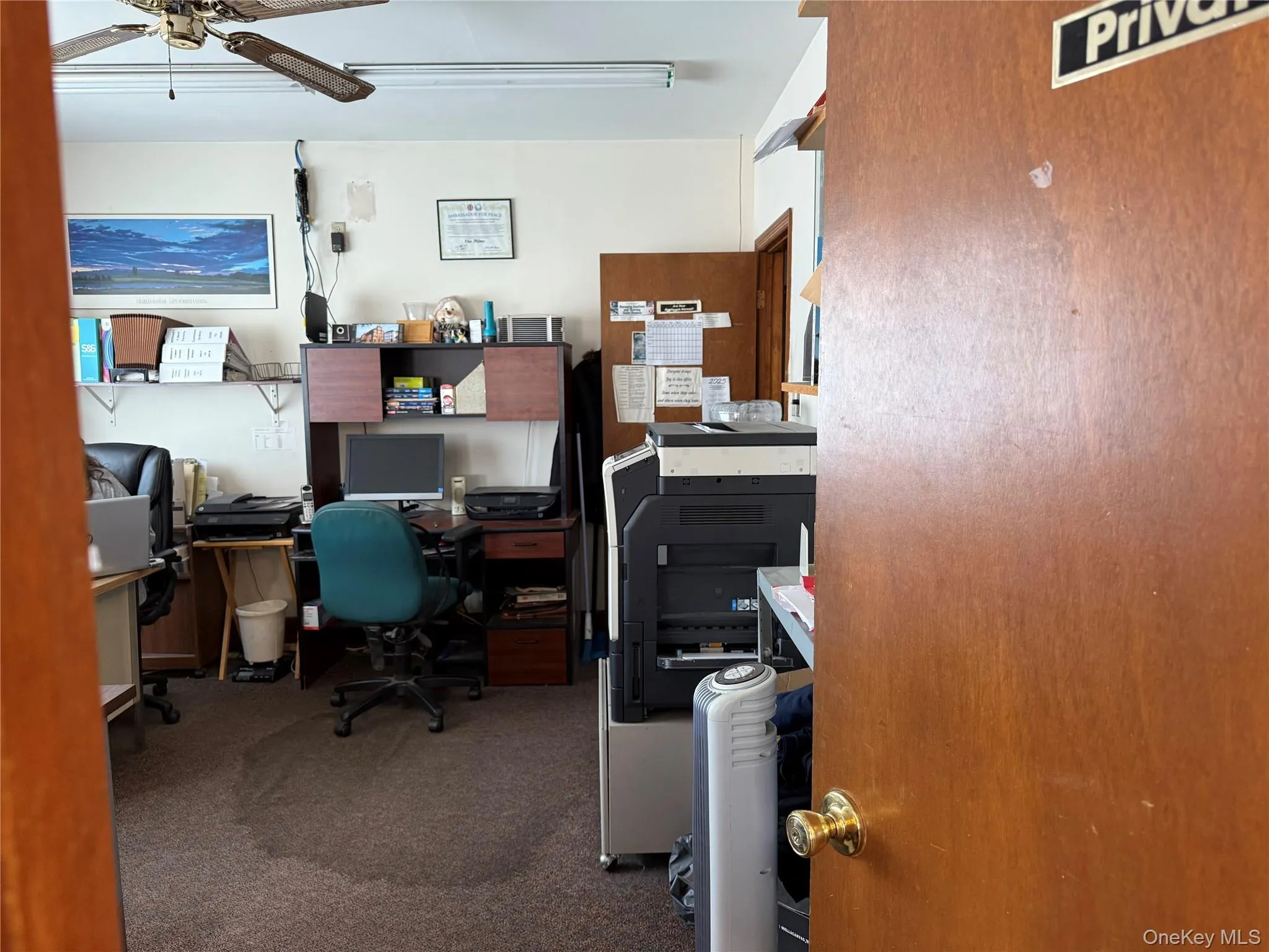 Carpeted office with a ceiling fan Carpeted office with a ceiling fan
