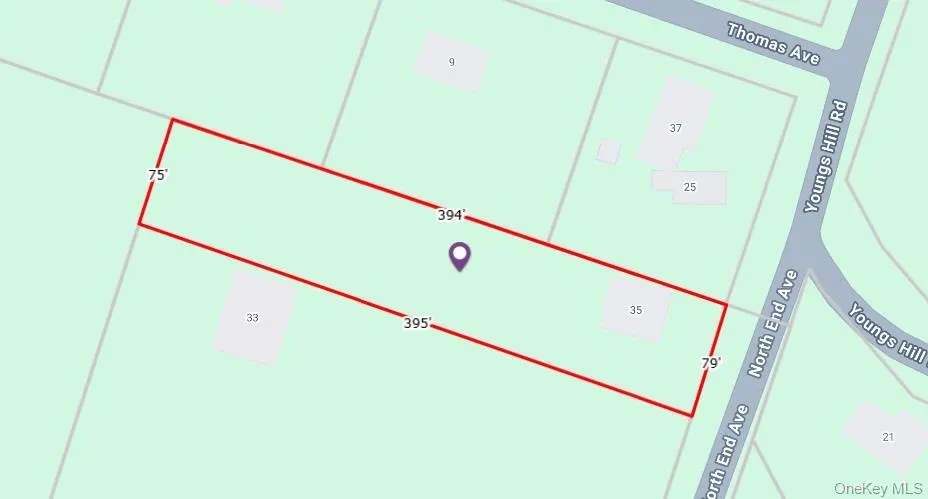 35 Youngs Hill Road, Liberty, NY, 4 Bedrooms Bedrooms, 9 Rooms Rooms,2 BathroomsBathrooms,Residential,For Rent,Youngs Hill,0,921106 35 Youngs Hill Road, Liberty, NY, 4 Bedrooms Bedrooms, 9 Rooms Rooms,2 BathroomsBathrooms,Residential,For Rent,Youngs Hill,0,921106