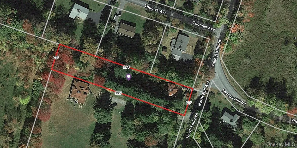 35 Youngs Hill Road, Liberty, NY, 4 Bedrooms Bedrooms, 9 Rooms Rooms,2 BathroomsBathrooms,Residential,For Rent,Youngs Hill,0,921106 35 Youngs Hill Road, Liberty, NY, 4 Bedrooms Bedrooms, 9 Rooms Rooms,2 BathroomsBathrooms,Residential,For Rent,Youngs Hill,0,921106