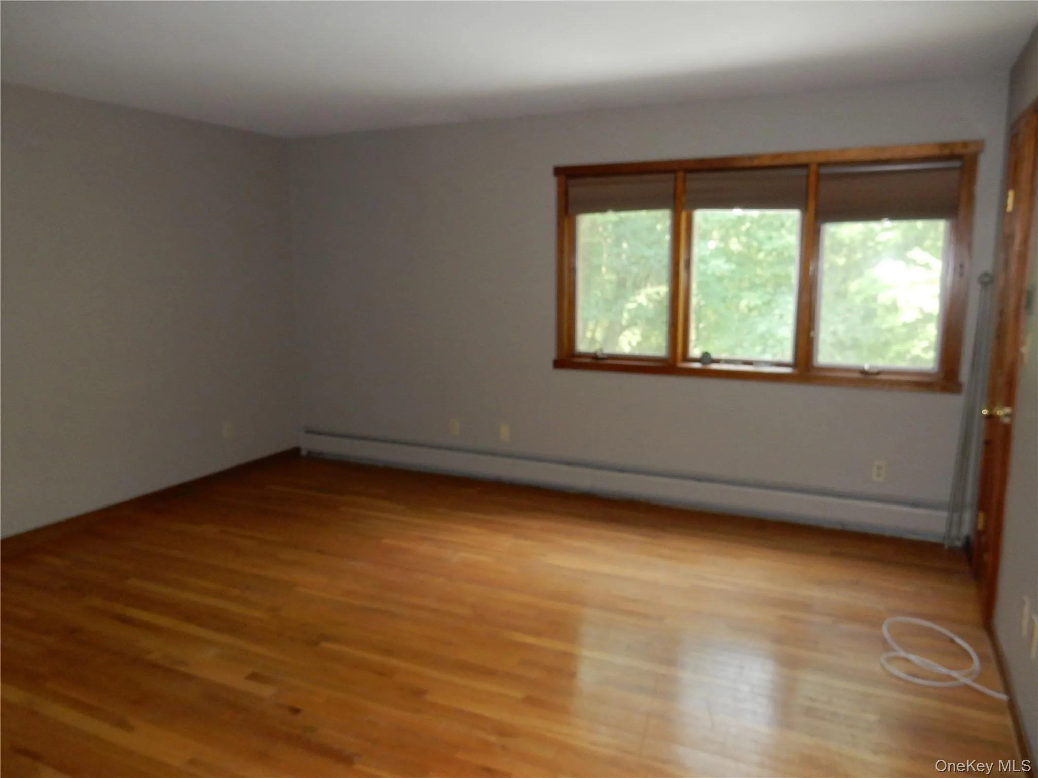 Spare room with plenty of natural light, baseboard heating, and light wood-style flooring Spare room with plenty of natural light, baseboard heating, and light wood-style flooring