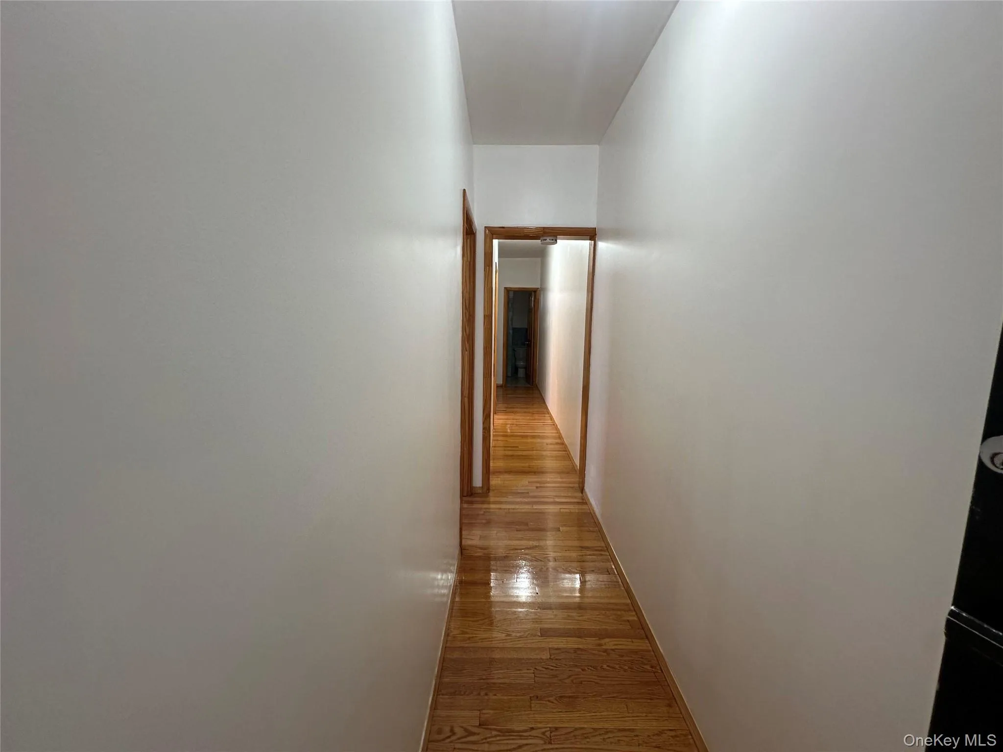 Hall with light wood-type flooring and baseboards Hall with light wood-type flooring and baseboards