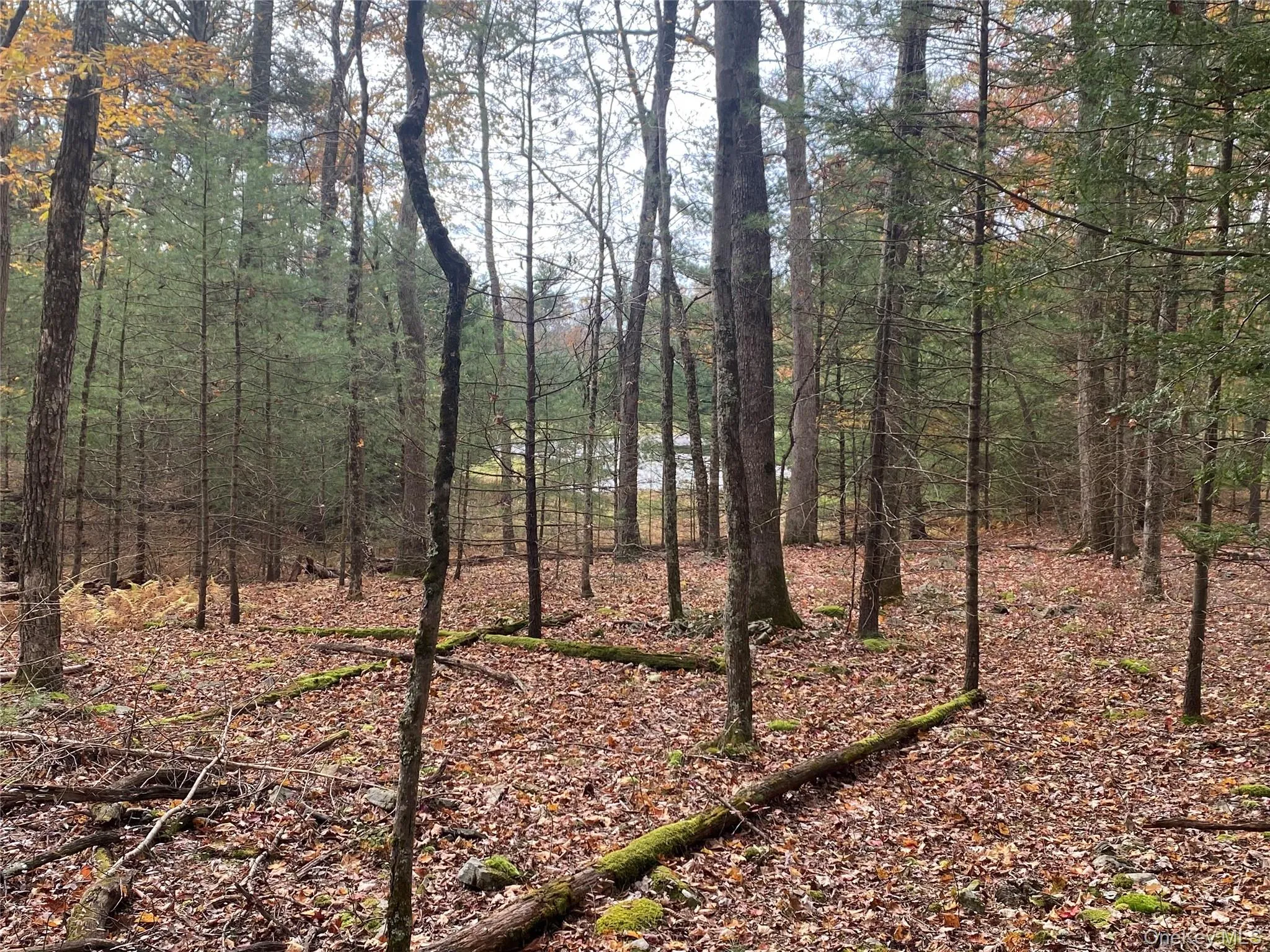 Split Rock Drive, Highland, NY, ,Land,For Rent,Split Rock,0,921280 Split Rock Drive, Highland, NY, ,Land,For Rent,Split Rock,0,921280