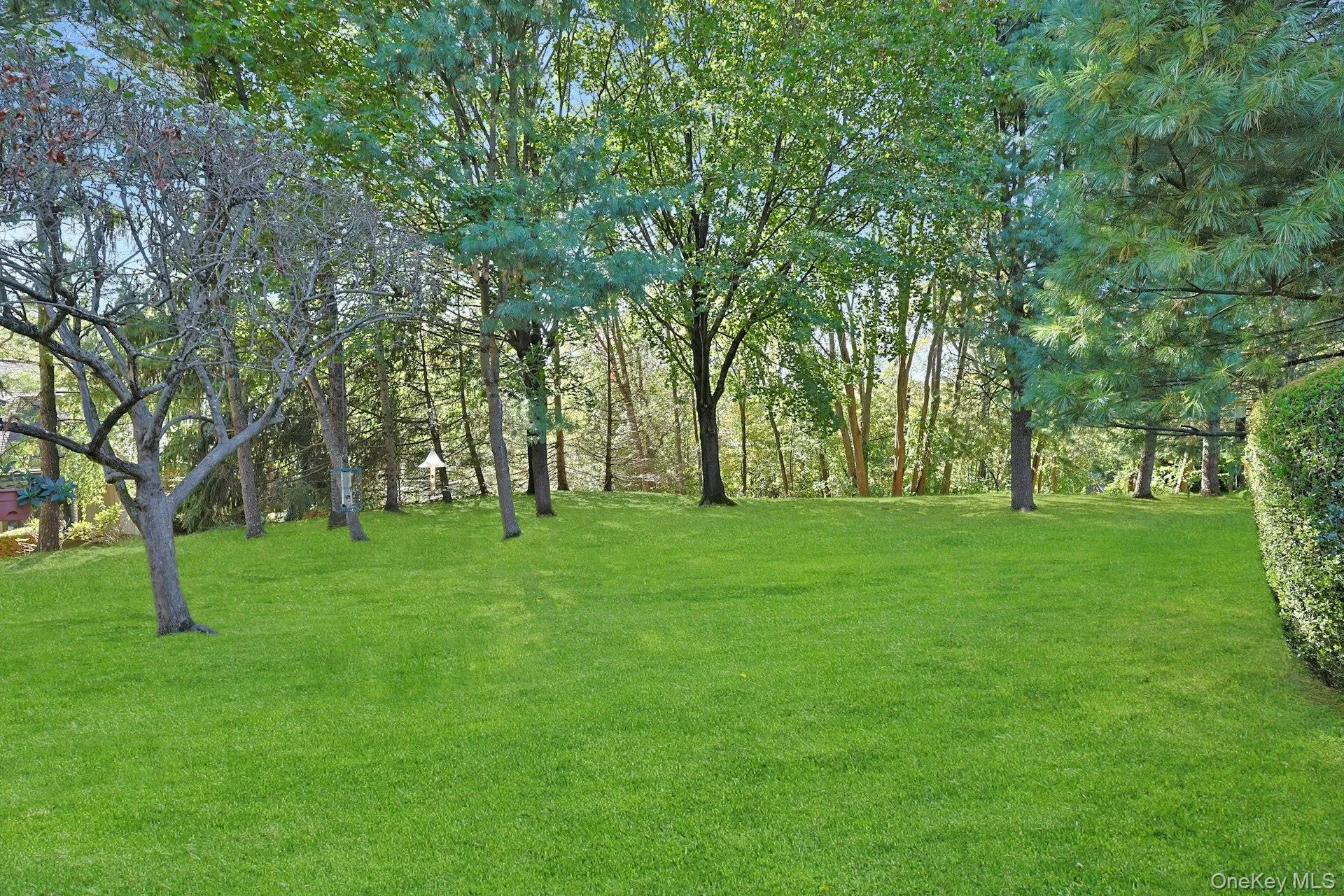 Totally private flat back and side yards Totally private flat back and side yards