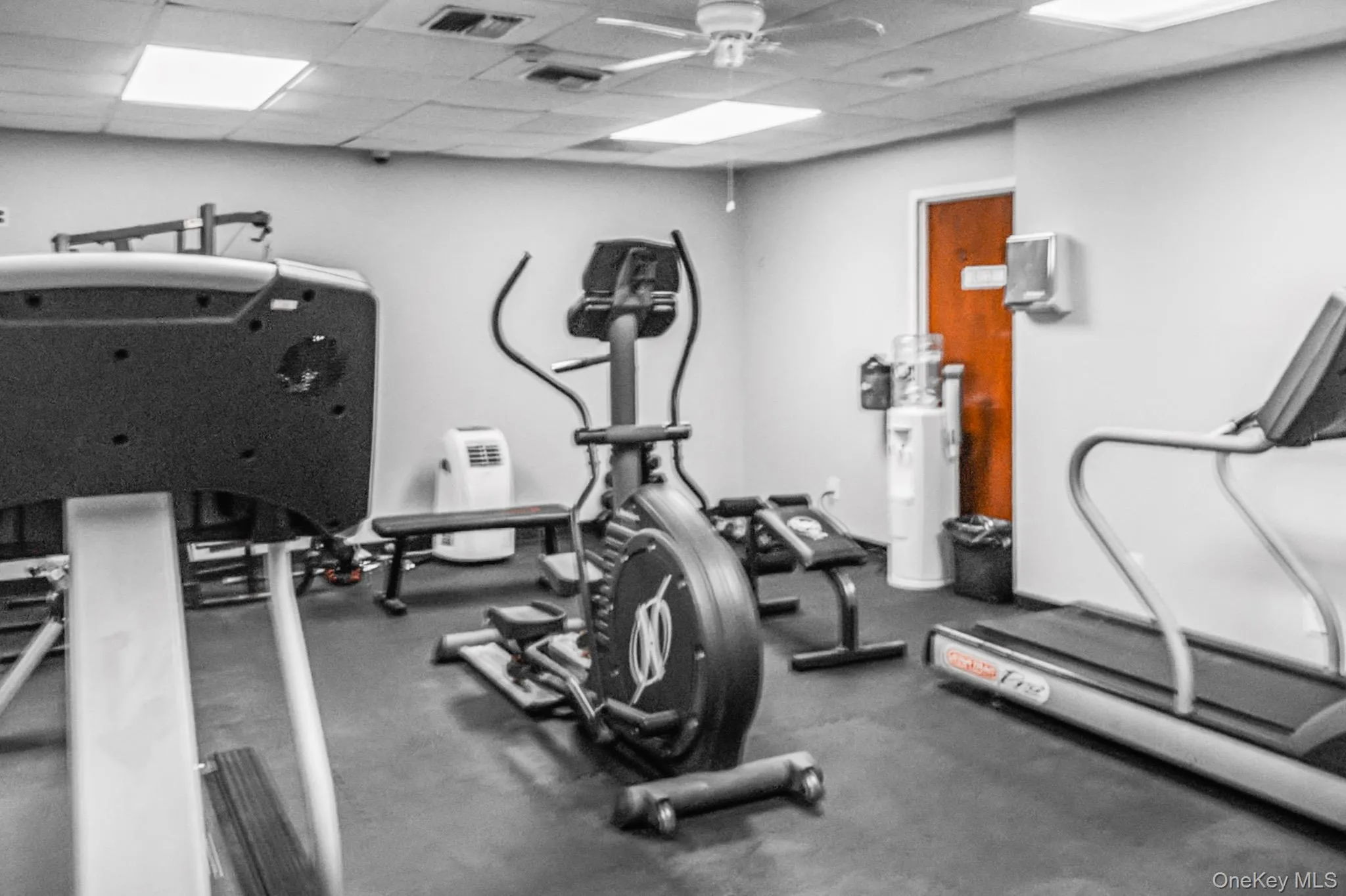 Gym with a drop ceiling Gym with a drop ceiling